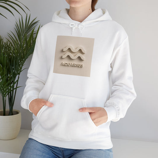 Aquarius Hooded Sweatshirt, Zodiac Sweatshirt, Astrology Gifts for Her, Cozy Sweatshirt for Birthdays, Unisex Horoscope Apparel